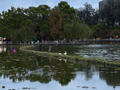 -翠湖公园
