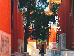 景点-孔庙和国子监博物馆