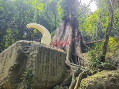 -七仙岭温泉国家森林公园