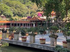 -深圳仙湖植物园