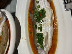 椒麻大白条-绿茶餐厅(财富购物中心店)