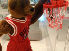 -济州岛泰迪熊博物馆