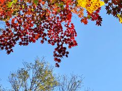 景点-五女峰国家森林公园