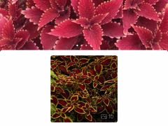 -奥特莱斯停车场