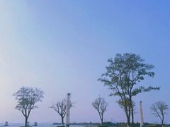 -滆湖低碳生态公园