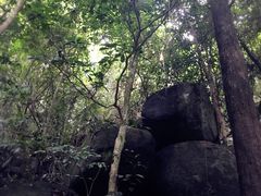 -七仙岭温泉国家森林公园