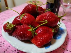 -上海都市菜园