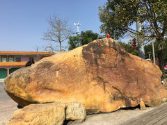 -广东花都香草世界旅游度假区