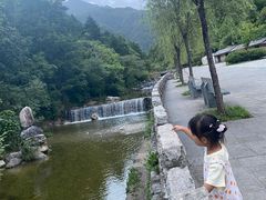 -牛背梁国家森林公园