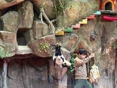 -长鹿旅游休博园