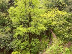 -崀山风景名胜区