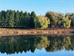 -羊亭河湿地公园