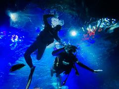 -沈阳海洋探索中心