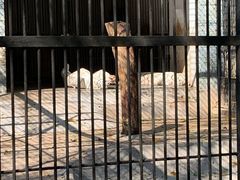 -广东茂名森林公园