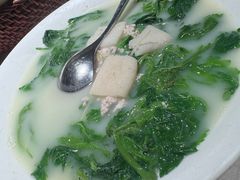 竹笙浸农家桑叶-大鸽饭(岗顶店)