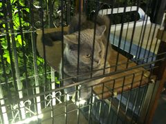 -津菜宋记老房子(鼓楼店)