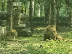 -秦皇岛野生动物园