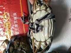 -小陆莲花蟹园农家乐(莲花岛店)