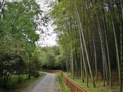 -杭州植物园