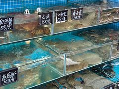 -北戴河庆山饭店·海鲜砂锅粥(北戴河黑石路店)