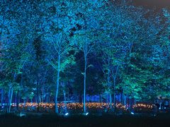 -中国天府农业博览园