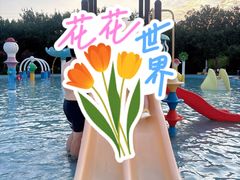 -南宫温泉水世界