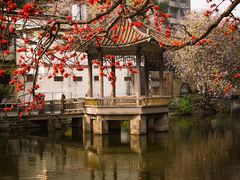 -晓港公园