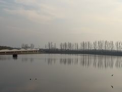 -洨河生态公园