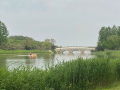 -大兴滨河森林公园