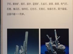 -中华赏石园