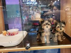 -FAELING PETS美天灵宠物(富力广场店)