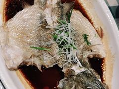 -紫光园·烤鸭·北京菜(劲松店)