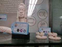 -纽瓦克自由国际机场