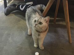 -研途咖啡馆(健康路店)