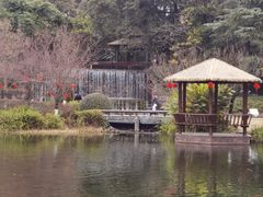 -成飞公园