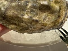 -Oyster Talks 四度蚝法餐厅