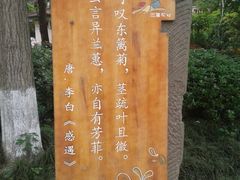 -三圣花乡旅游区