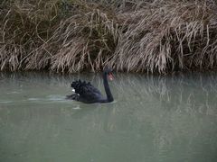 -艾溪湖湿地公园