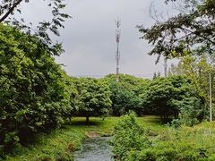 -两河城市森林公园