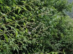 -青龙山生态文化旅游区