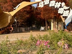 -同里国家湿地公园