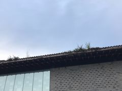 -都江堰中华大熊猫苑