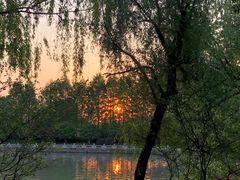 -杭州城北体育公园