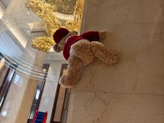 -郑州美盛喜来登大酒店