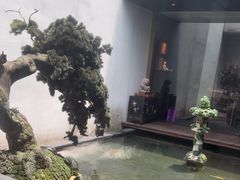 -觀芷隐轩