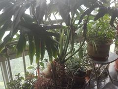 -小江南(万福园店)
