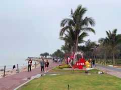 -野狸岛