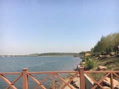 -丁香湖公园