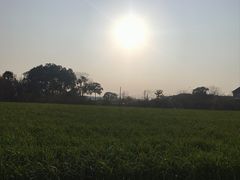-嘉北郊野公园