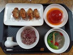 -小蝌蚪·寻·月嫂(普陀总部)